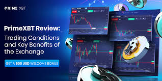Understanding the Essentials of PrimeXBT Cryptocurrency Trading Understanding the Essentials of PrimeXBT Cryptocurrency Trading